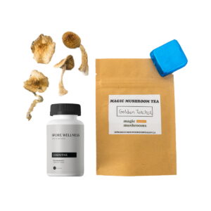 First Timer Magic Mushroom Kit