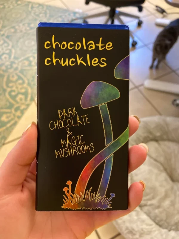 Chocolate Chuckles Mushroom